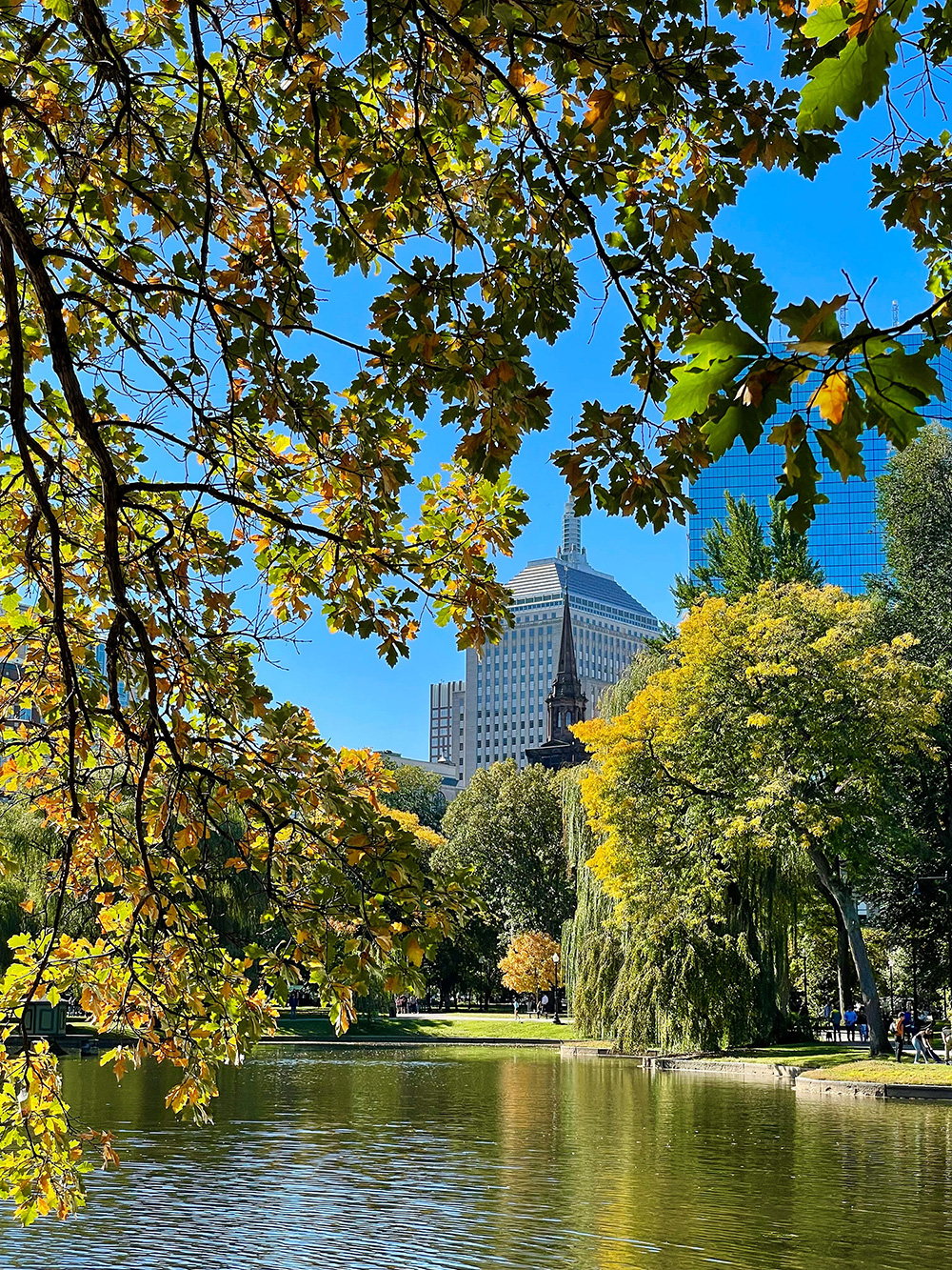 Looking at Boston Massachusetts, the home of Newburg CPA Firm